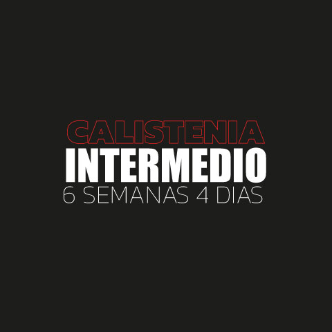 PROGRAMA INTERMEDEIO DE CALISTENIA